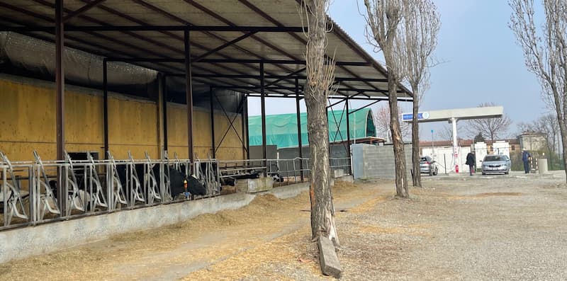 Azienda Bosco Gerolo grande stalla e metano auto